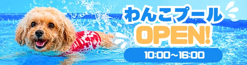 わんこプール