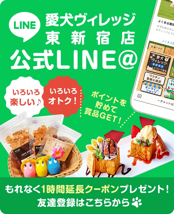 愛犬ヴィレッジ東新宿店公式LINE＠。ポイントを貯めて商品GET！もれなく1時間延長クーポンプレゼント！友達登録はこちらから。
